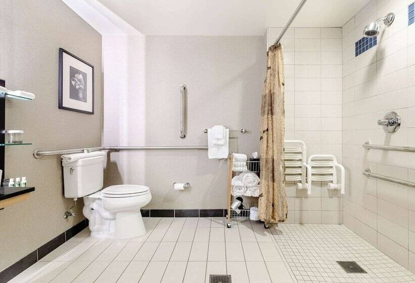 Engelliler için Süit, Cambria Hotel Pittsburgh   Downtown