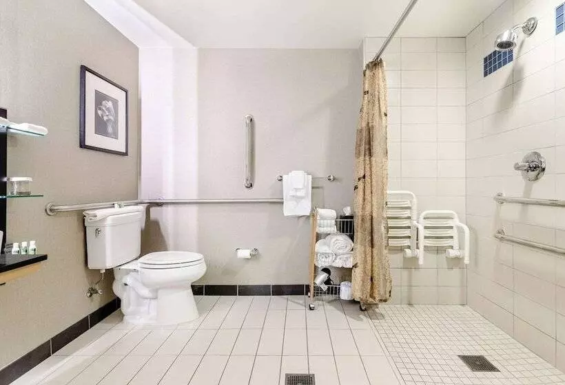 身障者適用スイートルーム, Cambria Hotel Pittsburgh   Downtown