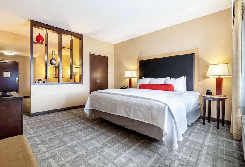 Engelliler için Süit, Cambria Hotel Pittsburgh   Downtown