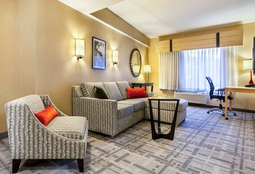 适合残疾人士使用的套间, Cambria Hotel Pittsburgh Downtown