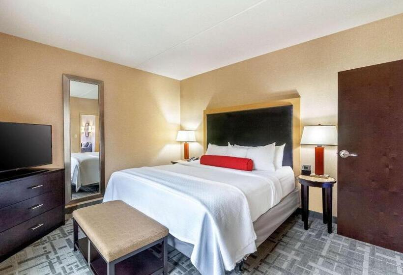 带大床的套房, Cambria Hotel Pittsburgh Downtown