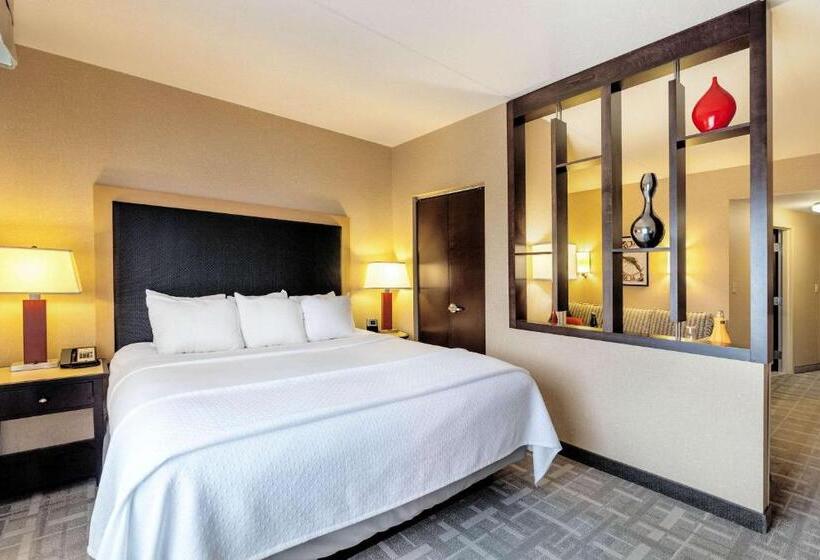 带大床的套房, Cambria Hotel Pittsburgh Downtown