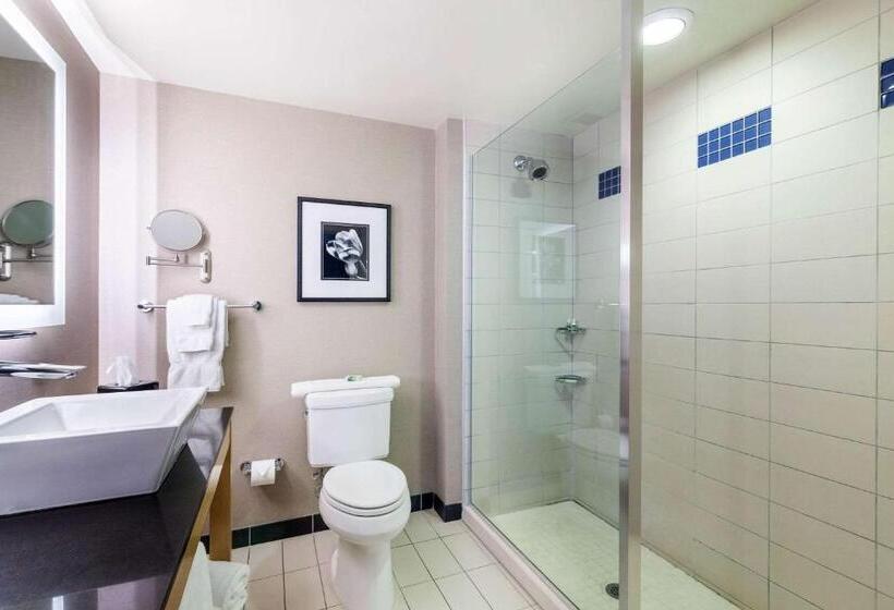 带大床的套房, Cambria Hotel Pittsburgh Downtown