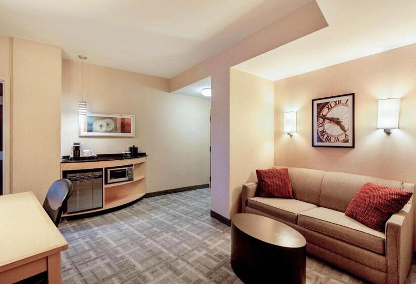 带大床的套房, Cambria Hotel Pittsburgh Downtown