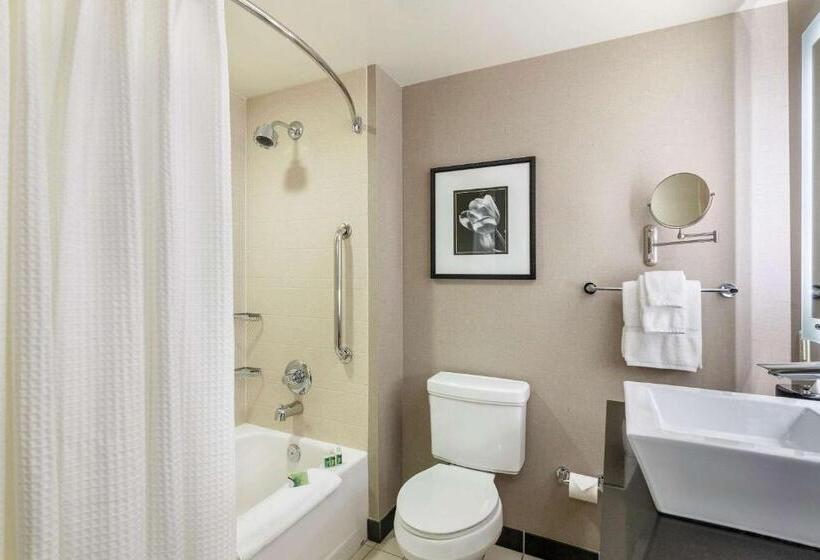 带大床的套房, Cambria Hotel Pittsburgh Downtown