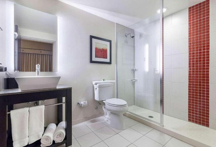Стандартный Номер Кровать Кинг, Cambria Hotel Pittsburgh   Downtown