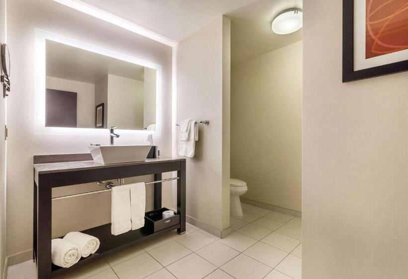 带大床的标准间, Cambria Hotel Pittsburgh Downtown