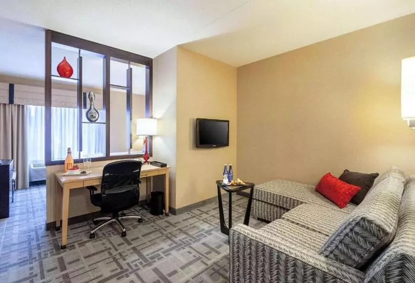 キングサイズベッドのスタンダードルーム, Cambria Hotel Pittsburgh   Downtown