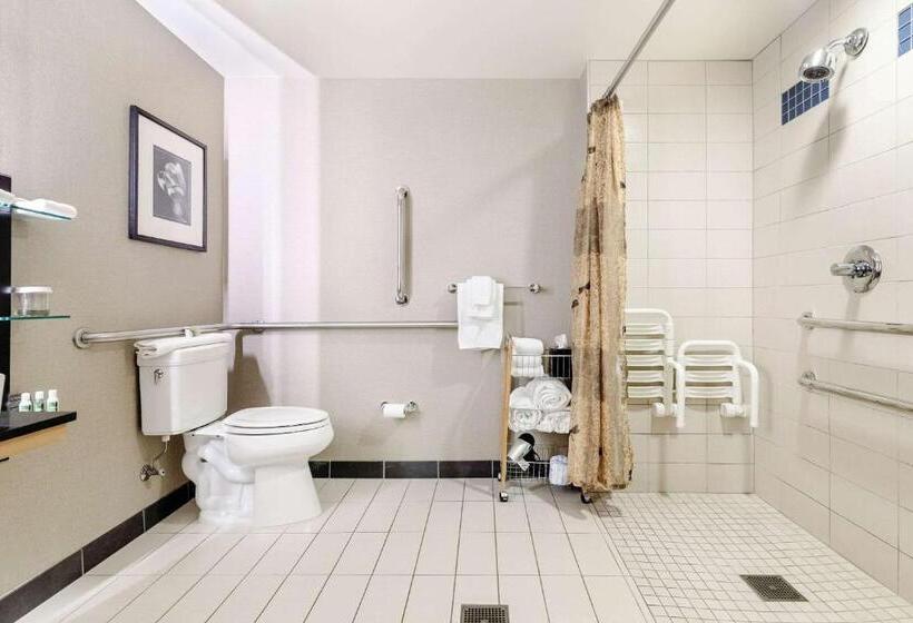 Номер Стандарт Кровать Кинг Адаптированный для Инвалидов, Cambria Hotel Pittsburgh   Downtown