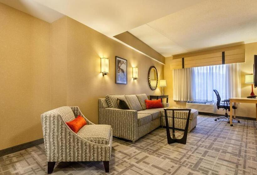 适合残疾人士使用的带超级大床的标准间, Cambria Hotel Pittsburgh Downtown