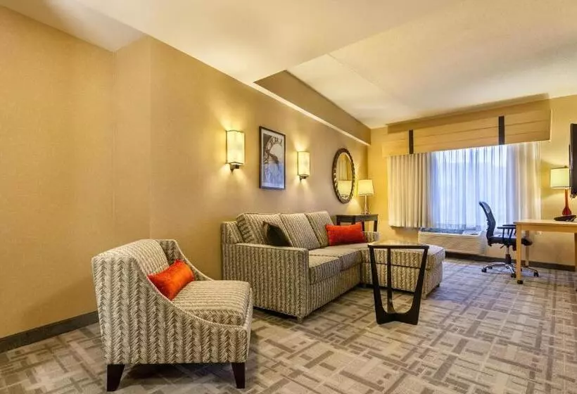 身障者適用キングサイズベッドルーム, Cambria Hotel Pittsburgh   Downtown