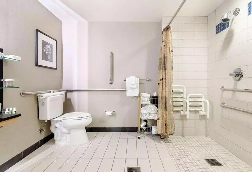 身障者適用スタンダードルーム, Cambria Hotel Pittsburgh   Downtown