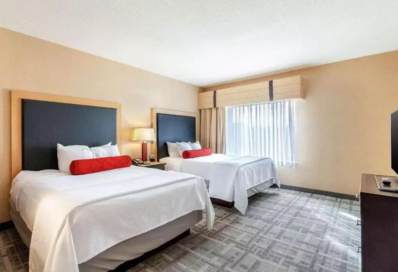 身障者適用スタンダードルーム, Cambria Hotel Pittsburgh   Downtown