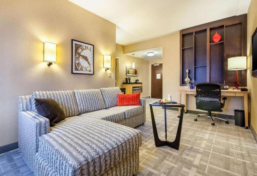 适合残疾人士使用的套间, Cambria Hotel Pittsburgh Downtown