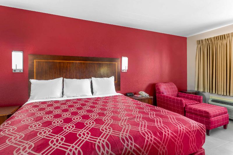 스탠다드 룸 바다 전망, Cape Rey Carlsbad Beach, A Hilton Resort & Spa