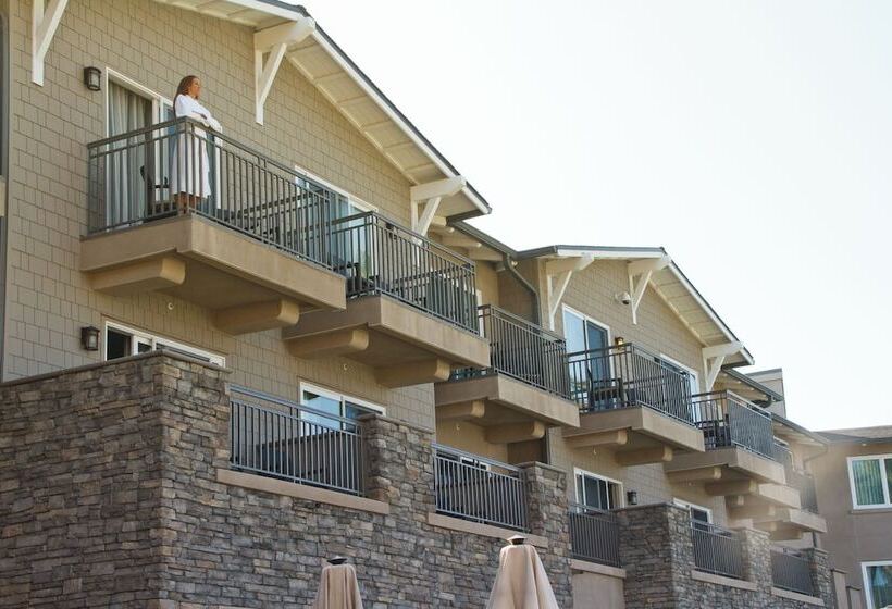 غرفة قياسية سرير مزدوج مطلة على البحر, Cape Rey Carlsbad Beach, A Hilton Resort & Spa