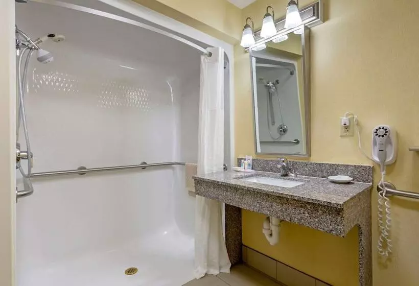 身障者適用スイートルーム, Comfort Inn & Suites Hillsville I77