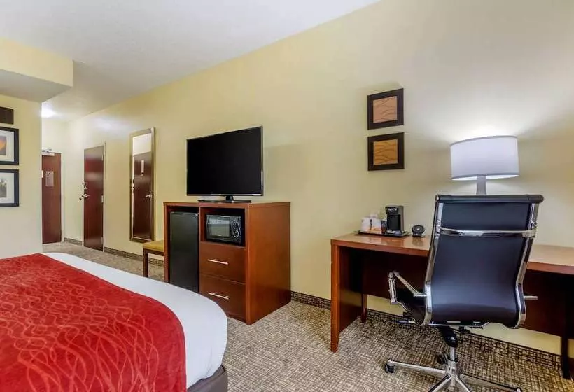 身障者適用スイートルーム, Comfort Inn & Suites Hillsville I77