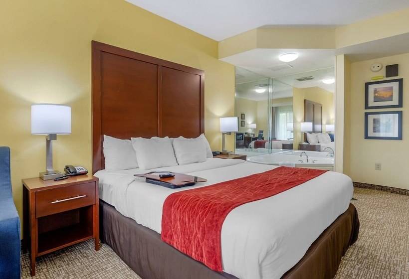 جناح لذوى الاحتياجات الخاصة, Comfort Inn & Suites Hillsville I77