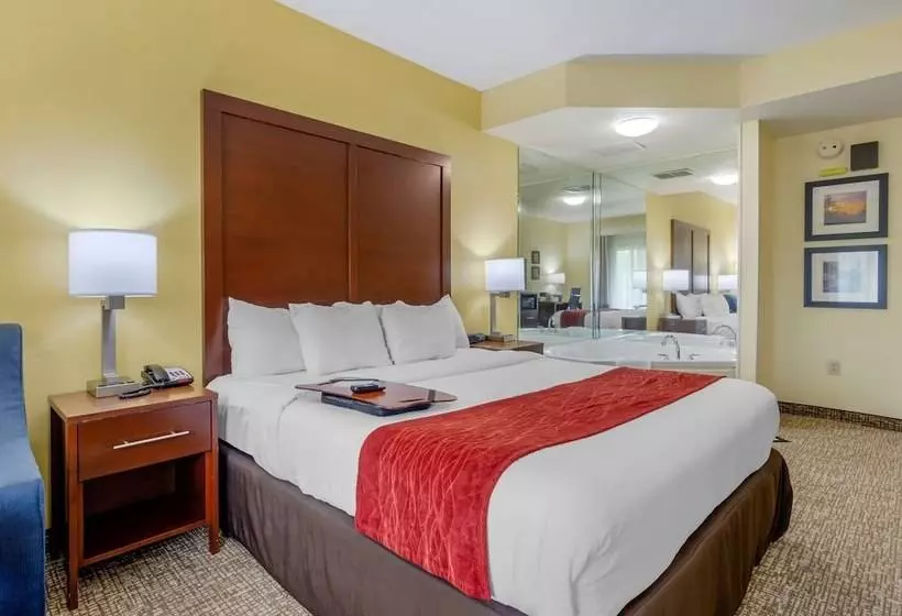 身障者適用スイートルーム, Comfort Inn & Suites Hillsville I77