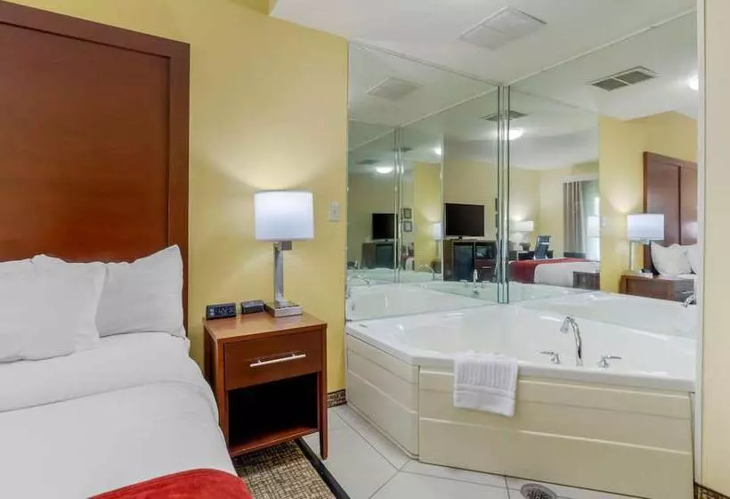 身障者適用スイートルーム, Comfort Inn & Suites Hillsville I77