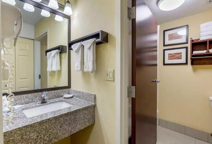 キングサイズベッドのスイートルーム, Comfort Inn & Suites Hillsville I77