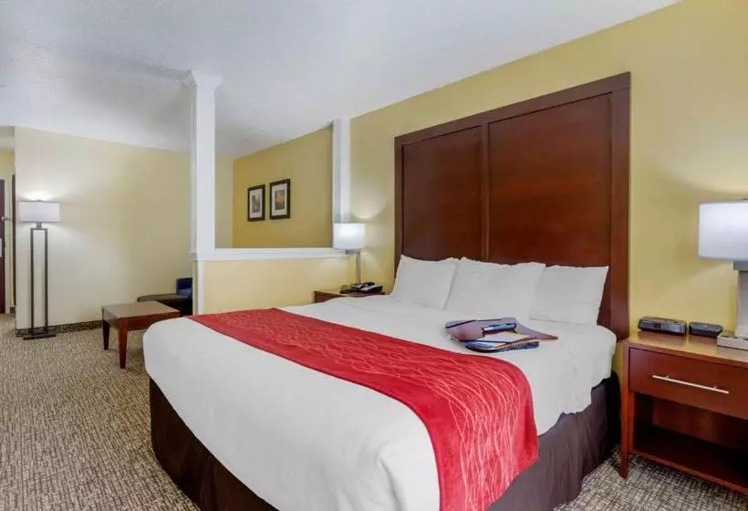 キングサイズベッドのスイートルーム, Comfort Inn & Suites Hillsville I77