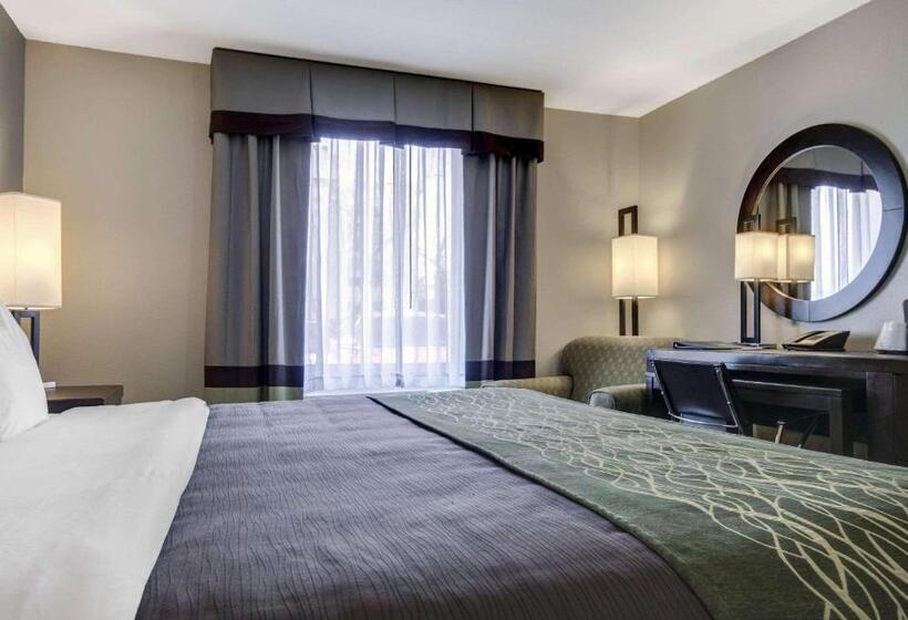 اتاق استاندارد با تخت بزرگ برای معلولان, Comfort Inn & Suites I10 Airport