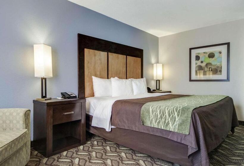 اتاق استاندارد با تخت بزرگ برای معلولان, Comfort Inn & Suites I10 Airport