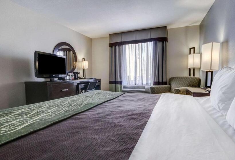اتاق استاندارد با تخت بزرگ برای معلولان, Comfort Inn & Suites I10 Airport