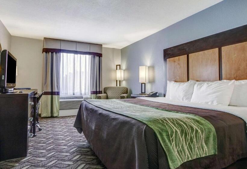 اتاق استاندارد با تخت بزرگ برای معلولان, Comfort Inn & Suites I10 Airport