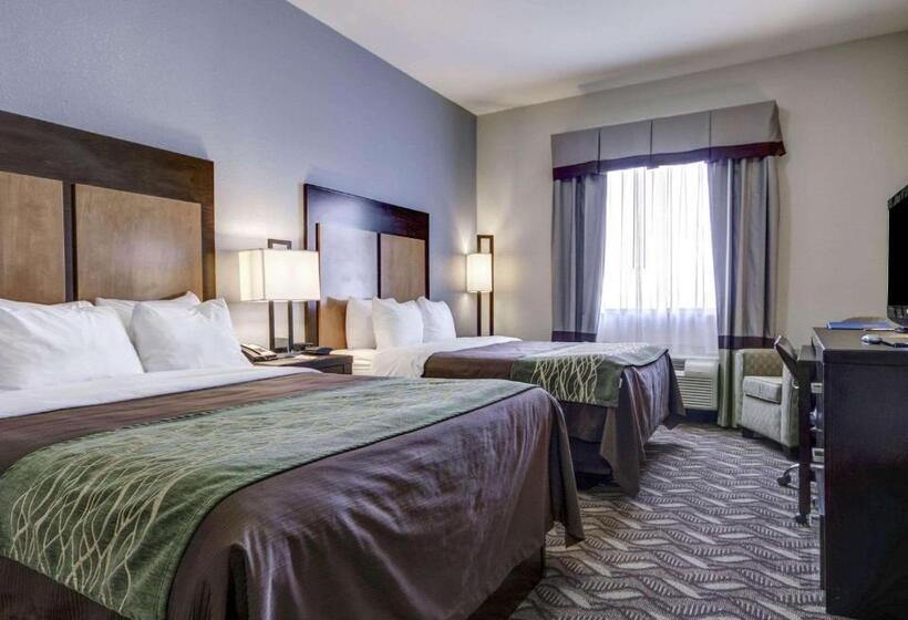 اتاق استاندارد با 2 تخت دوبل, Comfort Inn & Suites I10 Airport