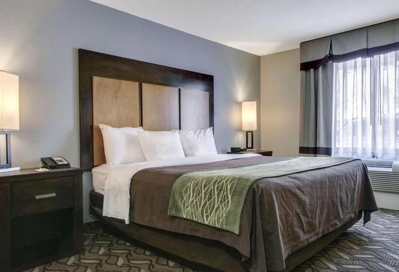اتاق استاندارد با تخت بزرگ, Comfort Inn & Suites I10 Airport