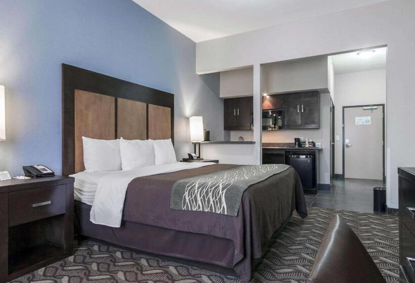 سوئیت با تخت بزرگ, Comfort Inn & Suites I10 Airport