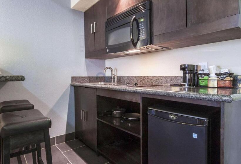 سوئیت با تخت بزرگ, Comfort Inn & Suites I10 Airport