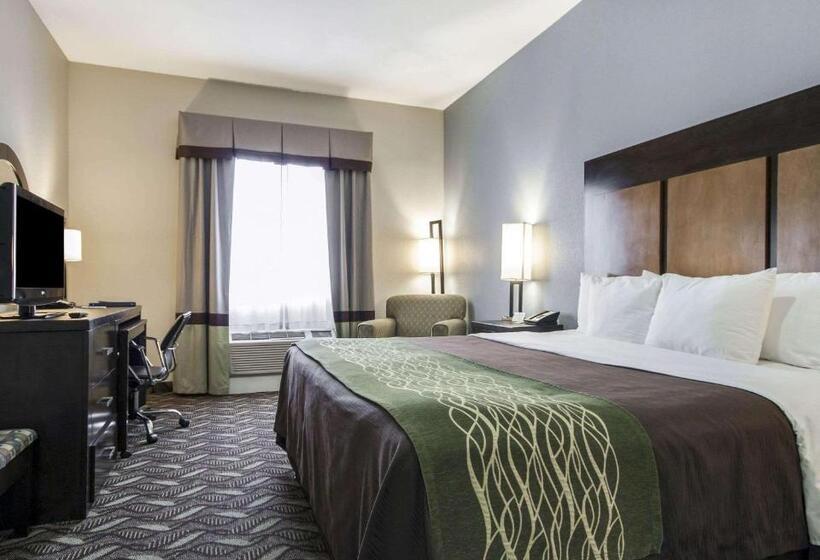 سوئیت با تخت بزرگ, Comfort Inn & Suites I10 Airport