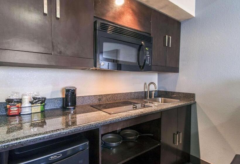 سوئیت با تخت بزرگ, Comfort Inn & Suites I10 Airport