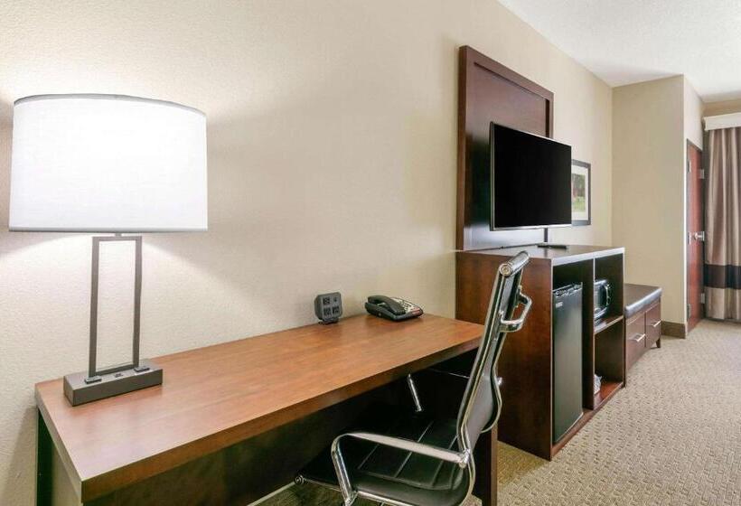 스탠다드 룸 킹사이즈 침대, Comfort Suites Hopkinsville Near Fort Campbell