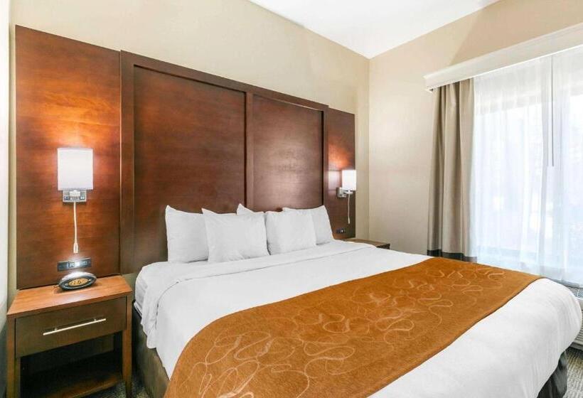 חדר סטנדרט עם מיטת קינג, Comfort Suites Hopkinsville Near Fort Campbell