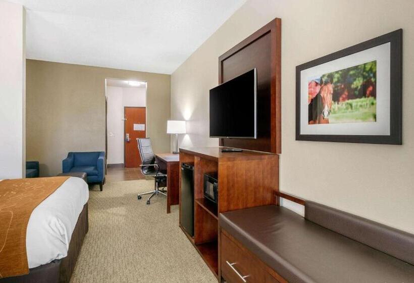 이그제큐티브 스위트 킹침대, Comfort Suites Hopkinsville Near Fort Campbell
