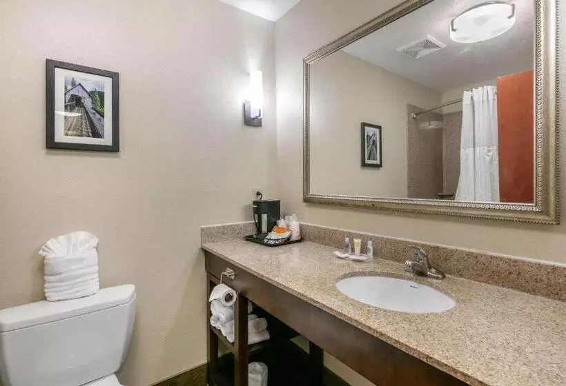 身障者適用スイートルーム, Comfort Suites Hopkinsville Near Fort Campbell