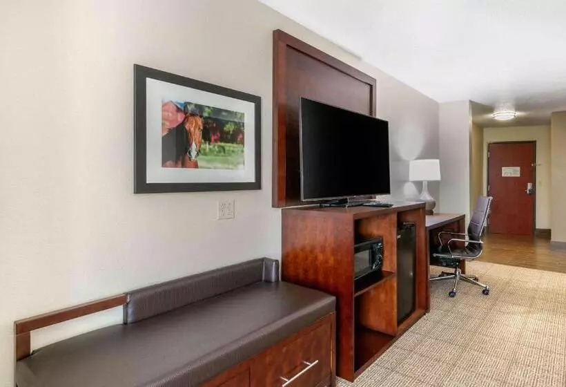 身障者適用スイートルーム, Comfort Suites Hopkinsville Near Fort Campbell