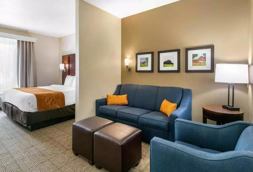 身障者適用スイートルーム, Comfort Suites Hopkinsville Near Fort Campbell