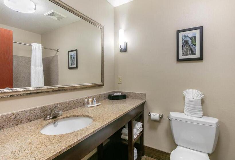 סוויטה מותאמת לאדם עם מוגבלויות, Comfort Suites Hopkinsville Near Fort Campbell