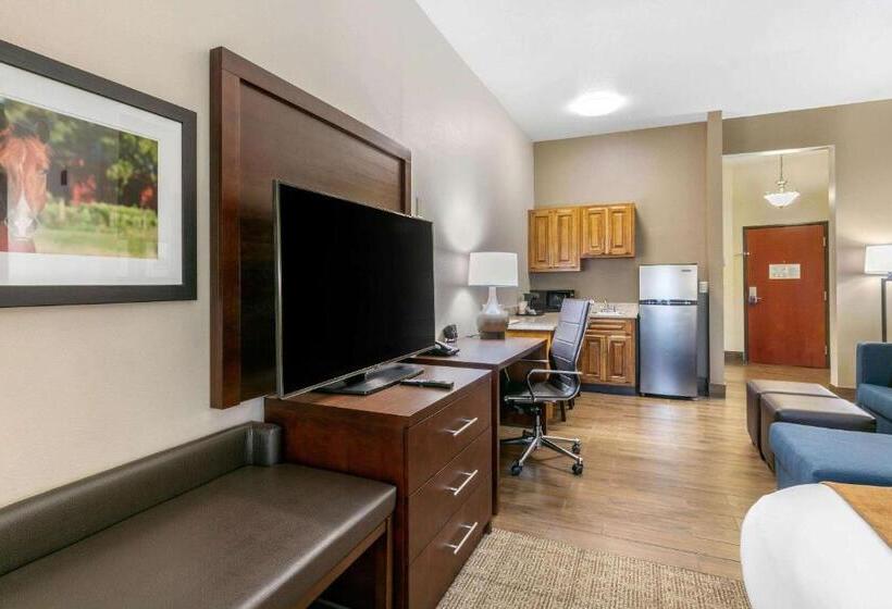 수피리어 스위트, Comfort Suites Hopkinsville Near Fort Campbell