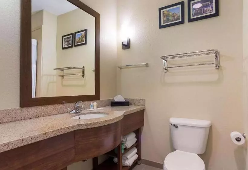 スタンダードルーム, Comfort Suites North Mobile
