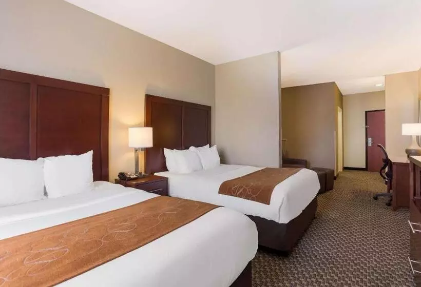 スタンダードルーム, Comfort Suites North Mobile