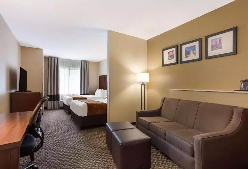 スタンダードルーム, Comfort Suites North Mobile