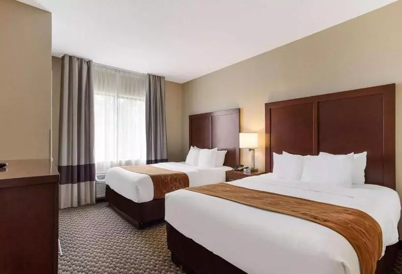スタンダードルーム, Comfort Suites North Mobile