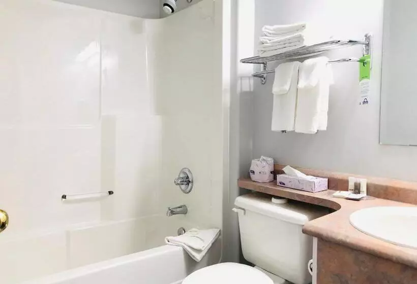 デラックスルーム, Days Inn By Wyndham Kamloops Bc